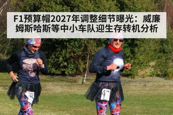 F1预算帽2027年调整细节曝光:威廉姆斯哈斯等中小车队迎生存转机分析
